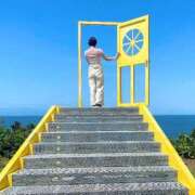 ヒメ日記 2025/04/24 08:04 投稿 ましろ 桃李（とうり）