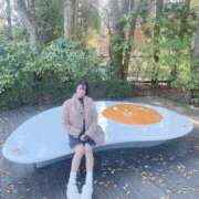 ヒメ日記 2025/06/01 11:07 投稿 ましろ 桃李（とうり）