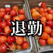 ヒメ日記 2025/06/26 20:04 投稿 ましろ 桃李（とうり）