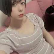 ヒメ日記 2025/06/27 08:34 投稿 ましろ 桃李（とうり）