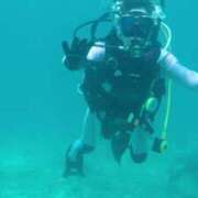 ヒメ日記 2025/07/15 17:12 投稿 ましろ 桃李（とうり）