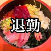 ヒメ日記 2025/08/19 00:31 投稿 ましろ 桃李（とうり）