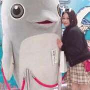 ヒメ日記 2025/10/06 07:14 投稿 ましろ 桃李（とうり）