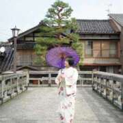 ヒメ日記 2025/11/24 09:24 投稿 ましろ 桃李（とうり）