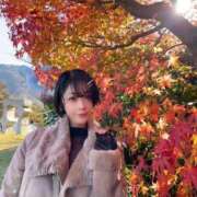 ヒメ日記 2025/12/09 12:14 投稿 ましろ 桃李（とうり）