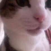 ヒメ日記 2026/01/20 10:54 投稿 ましろ 桃李（とうり）