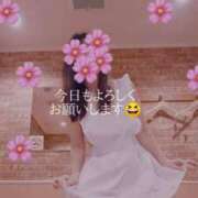 森田美紀 こんにちは😊 若奥サマンサ（横浜ハレ系）