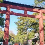 ヒメ日記 2026/03/04 08:30 投稿 結城まどか 若奥サマンサ（横浜ハレ系）