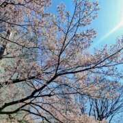 結城まどか むくり。 若奥サマンサ（横浜ハレ系）