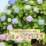 ヒメ日記 2026/06/08 08:15 投稿 結城まどか 若奥サマンサ（横浜ハレ系）