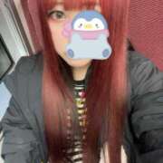 ヒメ日記 2025/02/14 12:39 投稿 ななえ ぽっちゃりきぶん