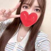 ヒメ日記 2025/11/11 00:48 投稿 らん 品川ハイブリッドマッサージ