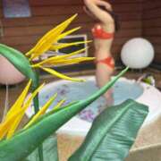 ヒメ日記 2025/07/04 12:04 投稿 ゆみか 東京妻