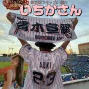 ヒメ日記 2025/11/24 14:14 投稿 ゆみか 東京妻