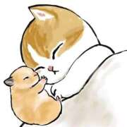 ヒメ日記 2025/11/18 18:31 投稿 なぎ ファッションヘルス カリスマ