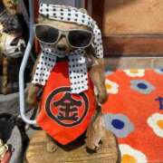 ヒメ日記 2025/11/28 08:14 投稿 あやの ミスターダンディ パート2