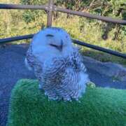 ヒメ日記 2026/01/15 15:06 投稿 あやの ミスターダンディ パート2