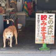 ヒメ日記 2026/08/11 09:15 投稿 あやの ミスターダンディ パート2