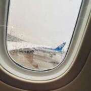 ヒメ日記 2025/12/14 07:25 投稿 ことね ミスターダンディ パート2