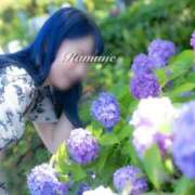 ヒメ日記 2025/04/18 18:15 投稿 らむね ミスターダンディ パート2