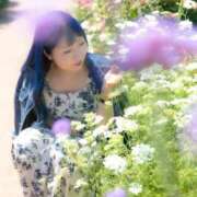 ヒメ日記 2026/05/04 08:47 投稿 らむね ミスターダンディ パート2
