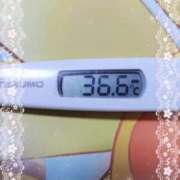 ヒメ日記 2025/01/28 08:26 投稿 らな 変態プレイ専門店 マニアック女人館 本館