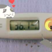 ヒメ日記 2025/02/22 10:30 投稿 らな 変態プレイ専門店 マニアック女人館 本館