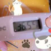 ヒメ日記 2025/02/24 10:20 投稿 らな 変態プレイ専門店 マニアック女人館 本館