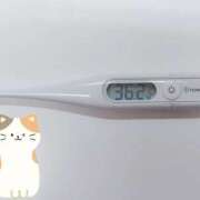 ヒメ日記 2025/03/14 09:35 投稿 らな 変態プレイ専門店 マニアック女人館 本館