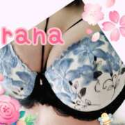 ヒメ日記 2025/04/26 10:23 投稿 らな 変態プレイ専門店 マニアック女人館 本館