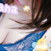 ヒメ日記 2025/04/29 21:59 投稿 らな 変態プレイ専門店 マニアック女人館 本館