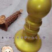 ヒメ日記 2025/05/27 06:50 投稿 らな 変態プレイ専門店 マニアック女人館 本館