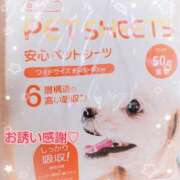 ヒメ日記 2025/07/08 12:27 投稿 らな 変態プレイ専門店 マニアック女人館 本館