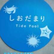 ヒメ日記 2025/07/30 20:50 投稿 らな 変態プレイ専門店 マニアック女人館 本館