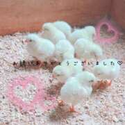 ヒメ日記 2025/08/20 06:12 投稿 らな 変態プレイ専門店 マニアック女人館 本館