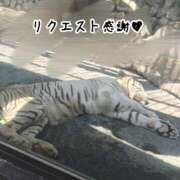 ヒメ日記 2025/08/21 18:56 投稿 らな 変態プレイ専門店 マニアック女人館 本館