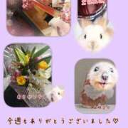 ヒメ日記 2025/10/05 23:35 投稿 らな 変態プレイ専門店 マニアック女人館 本館