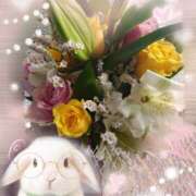 ヒメ日記 2025/10/06 12:05 投稿 らな 変態プレイ専門店 マニアック女人館 本館