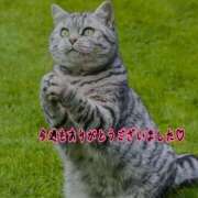 ヒメ日記 2025/10/12 12:00 投稿 らな 変態プレイ専門店 マニアック女人館 本館