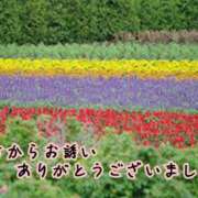 ヒメ日記 2025/10/21 03:32 投稿 らな 変態プレイ専門店 マニアック女人館 本館