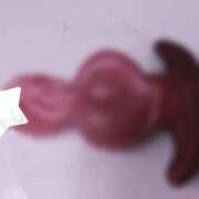 ヒメ日記 2026/02/20 09:33 投稿 らな 変態プレイ専門店 マニアック女人館 本館