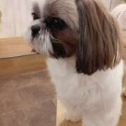 ヒメ日記 2025/02/08 21:51 投稿 さやか プレイボーイ(八王子)