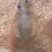 ヒメ日記 2025/02/25 15:46 投稿 さやか プレイボーイ(八王子)