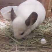 ヒメ日記 2025/02/27 21:42 投稿 さやか プレイボーイ(八王子)