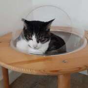 ヒメ日記 2025/04/10 21:46 投稿 さやか プレイボーイ(八王子)