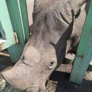 ヒメ日記 2025/08/27 21:28 投稿 さやか プレイボーイ(八王子)