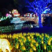 ヒメ日記 2025/08/31 00:52 投稿 さやか プレイボーイ(八王子)