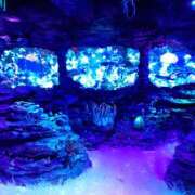 ヒメ日記 2025/09/04 01:07 投稿 さやか プレイボーイ(八王子)