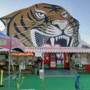 ヒメ日記 2025/11/17 22:54 投稿 さやか プレイボーイ(八王子)