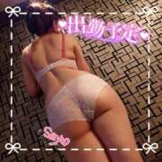 ヒメ日記 2025/04/06 11:01 投稿 さよ 奥様の実話 谷九店